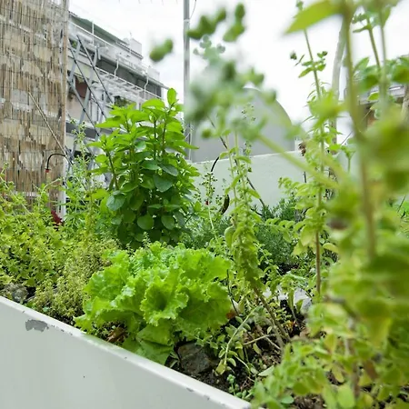 Apartamento Eco Escape Rooftop *